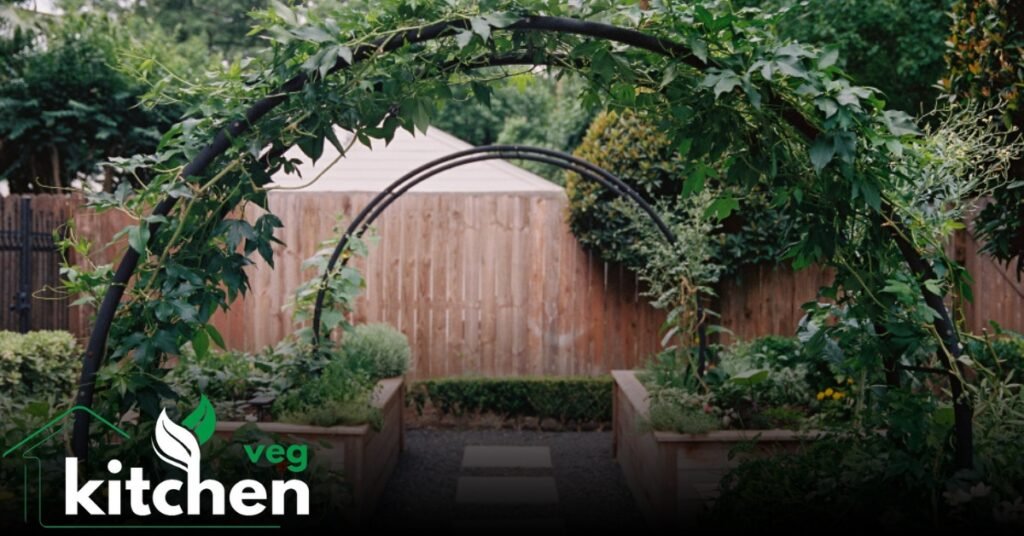 garden arch trellis