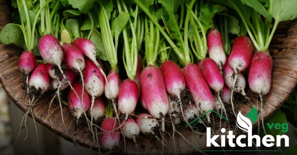 radish seeds