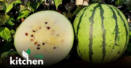 white watermelon